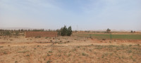 farmland-sell-djelfa-algeria