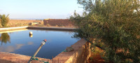 terrain-agricole-vente-djelfa-hassi-bahbah-algerie