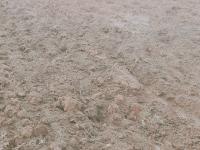 Vente Terrain Agricole Djelfa Benhar thumbnail 4