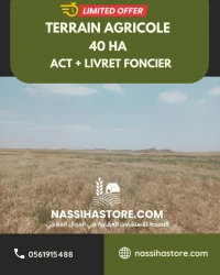 Vente Terrain Agricole Djelfa Djelfa