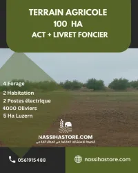 Vente Terrain Agricole Djelfa Benhar