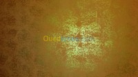 معسكر-الجزائر-بناء-و-أشغال-peinture-et-décoration