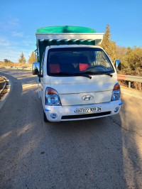 camion-hyundai-h100-2010-el-achir-bordj-bou-arreridj-algerie