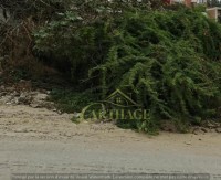 أرض-بيع-عنابة-الجزائر