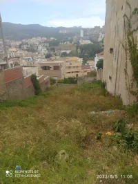 Vente Terrain Annaba Annaba