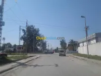 Vente Hangar Annaba Annaba