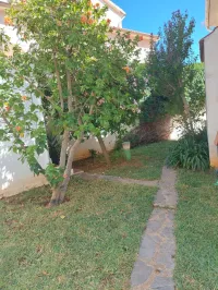 Location Villa Alger Dely brahim