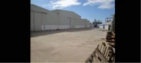 Location Hangar Oran Hassi bounif