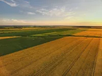 Vente Terrain Agricole Mascara Alaimia