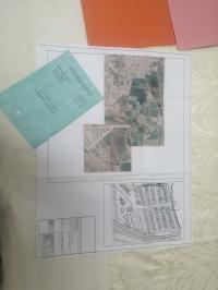 terrain-vente-blida-el-affroun-algerie