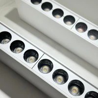 Luminaire Linéaire : SPOT APPARENT