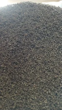 حامة بوزيان