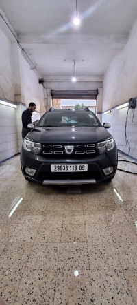 voitures-dacia-sandero-2019-stepway-restylee-ain-defla-algerie