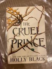 The cruel prince 