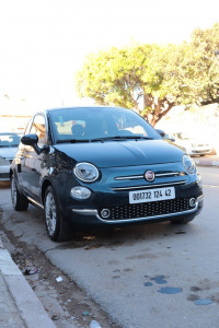 voitures-fiat-500-2024-club-kolea-tipaza-algerie