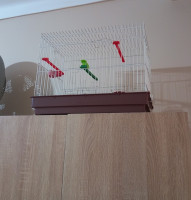 accessoire-pour-animaux-cage-a-oiseaux-mohammadia-alger-algerie