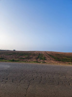 terrain-agricole-vente-mostaganem-stidia-algerie