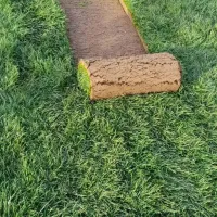 Gazon naturel et Espace vert jardinage 