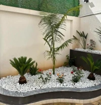 Décoration Jardinage 