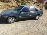 berline-peugeot-405-1992-medjana-bordj-bou-arreridj-algerie