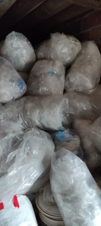 بلاستيك بوشيطة