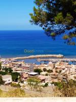 terrain-vente-tipaza-bou-haroun-algerie