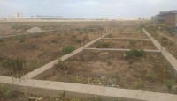أرض-بيع-تبسة-الماء-الأبيض-الجزائر