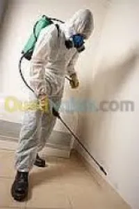 Dératisation, Anti cafards, Anti moustique, Anti fourmis, Anti Punaises de lit, Anti Puces