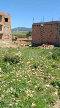 Vente Terrain Tlemcen Chetouane