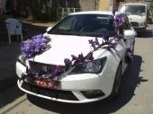 decoration