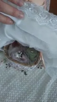 Décoration poupée pour gâteau 