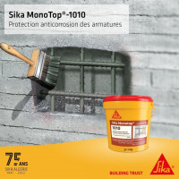 construction-travaux-sika-monotop-1010-ain-naadja-alger-algerie