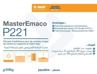 MasterEmaco P221