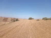 Vente Terrain Agricole Aïn Defla Djendel