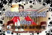 NEGAFETTE 
