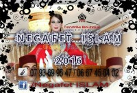 معسكر-تغنيف-الجزائر-ديكورات-و-ترتيب-negafette&nbsp;