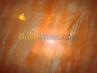 الجزائر-بن-عكنون-ديكورات-و-ترتيب-peinture-decoraion