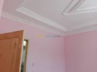 Maçon carreleur, plaquiste, peintre professionnel 