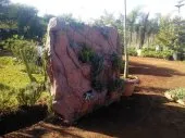 decoration des jardin 