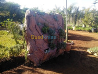 blida-algerie-décoration-aménagement-decoration-des-jardin