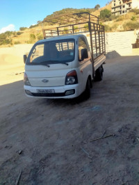 camion-hyundai-h100-2012-damous-tipaza-algerie