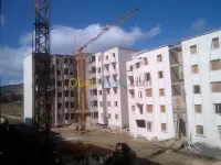  grue fixe 04