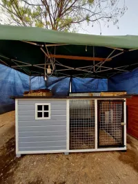 niche et cage pour chien ( plusieurs models )