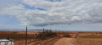 terrain-agricole-vente-oran-el-braya-algerie