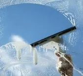 Nettoyage biologique