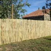Cane artisan (قصب حرفي)