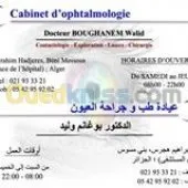 Maladies et Chirurgie des yeux