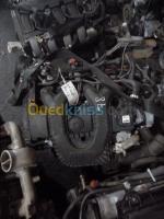 pieces-moteur-piece-fiat-bravo-nv-ess-batna-algerie