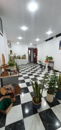 Location Niveau De Villa F2 Alger Birkhadem