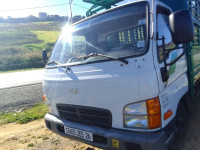 camion-hyundai-hd65-2005-medea-algerie